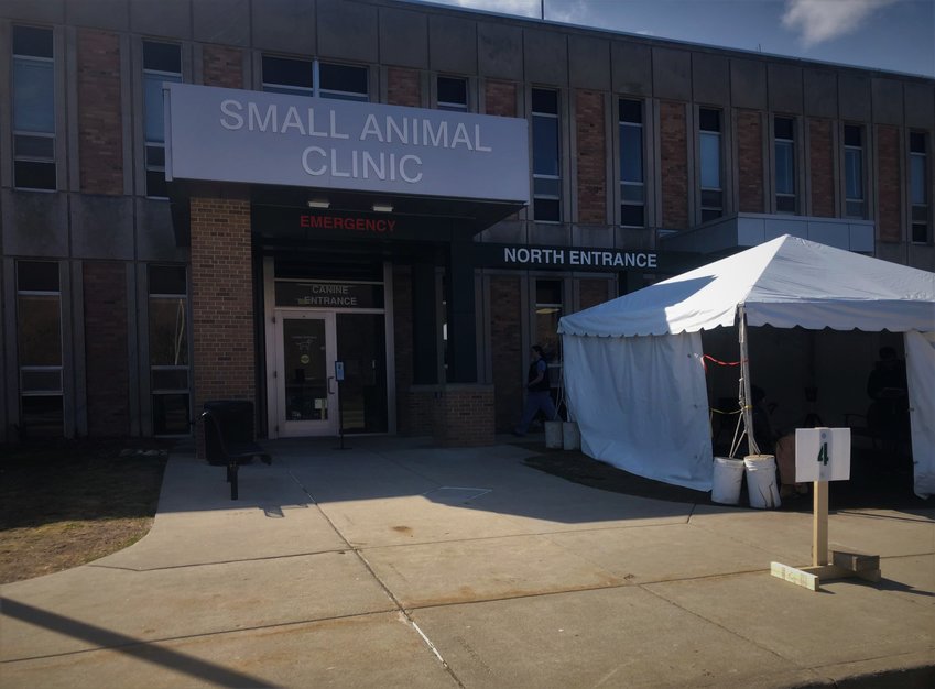 MSU vet clinic turns to curbside service during virus crisis City Pulse